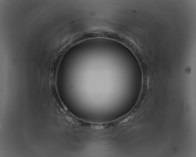 X0000091100965200708271313