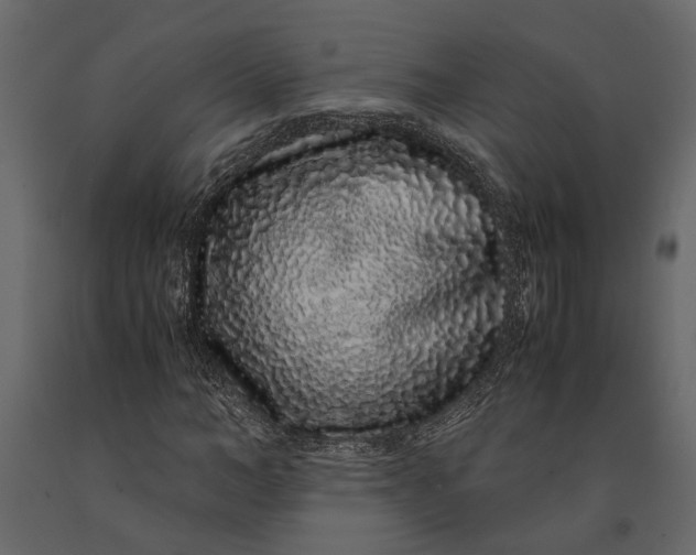 X0000091100966200708271313