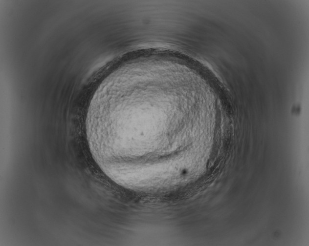 X0000091100967200708271313