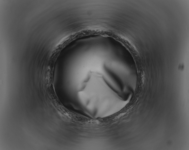 X0000091100968200708271313