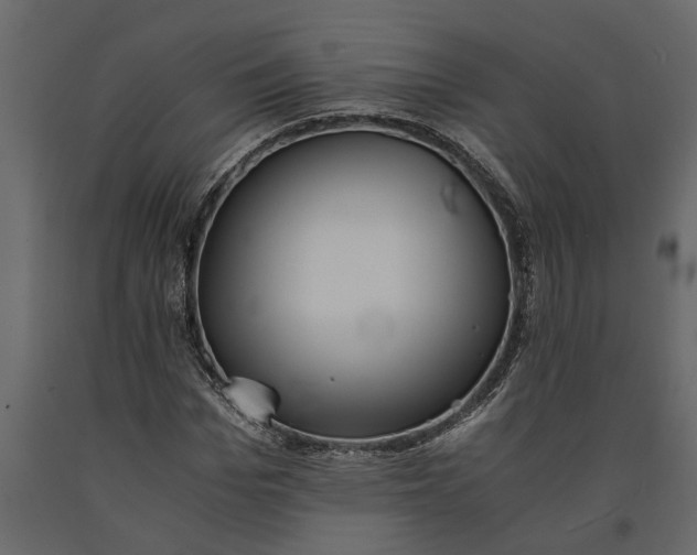 X0000091100969200708271313