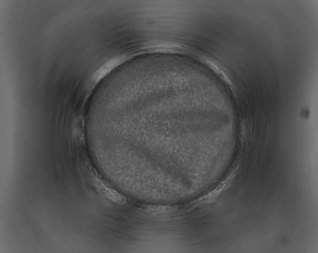 X0000091100970200708271313