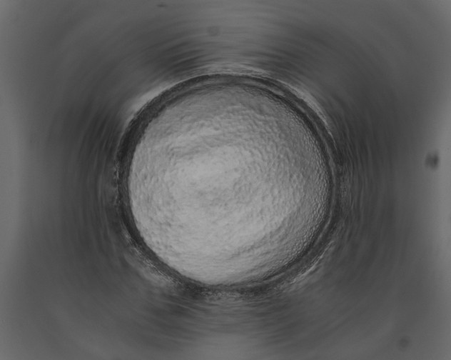 X0000091100971200708271313