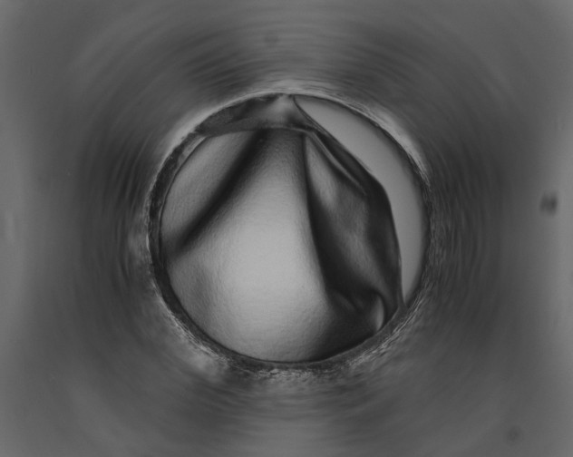 X0000091100972200708271313