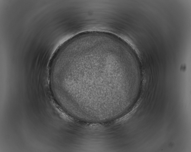 X0000091100974200708271313