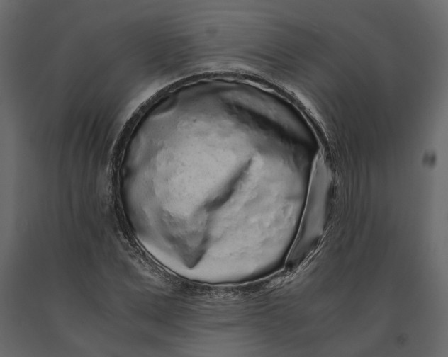 X0000091100975200708271313