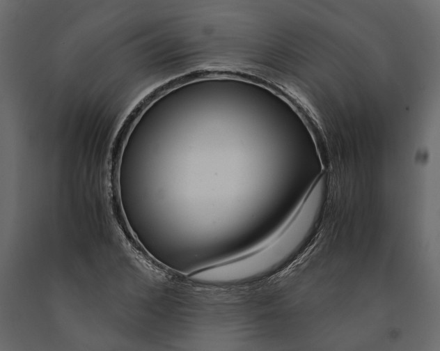 X0000091100976200708271313