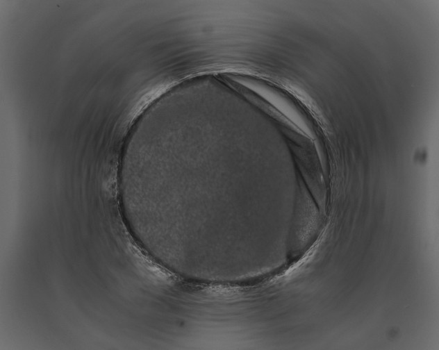 X0000091100977200708271313