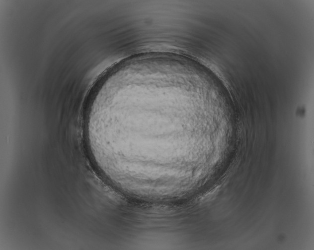 X0000091100979200708271313