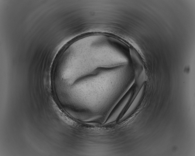 X0000091100980200708271313