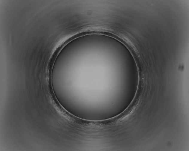 X0000091100981200708271313