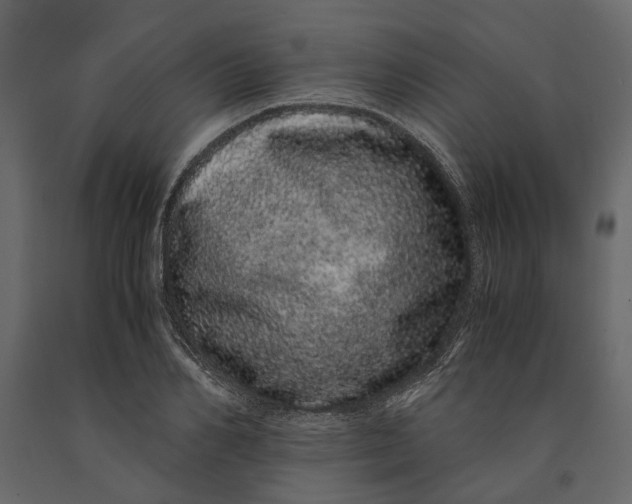 X0000091100982200708271313