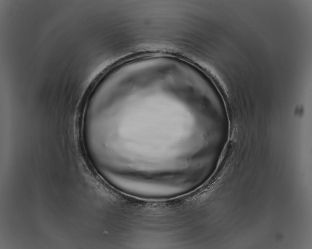 X0000091100983200708271313