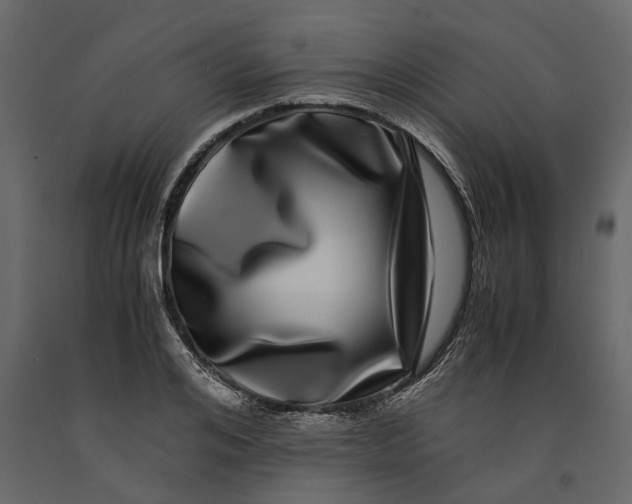 X0000091100984200708271313