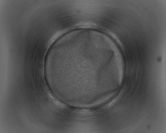 X0000091100986200708271313