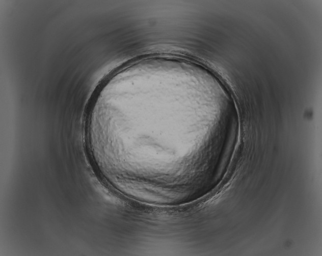 X0000091100987200708271313