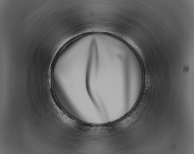 X0000091100988200708271313