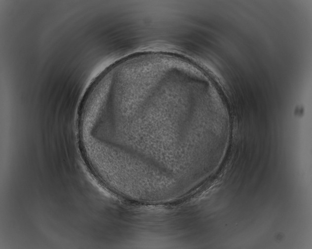 X0000091100990200708271313