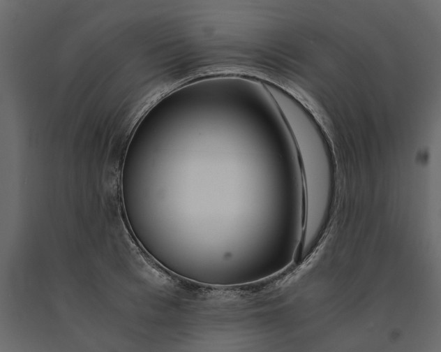 X0000091100993200708271313