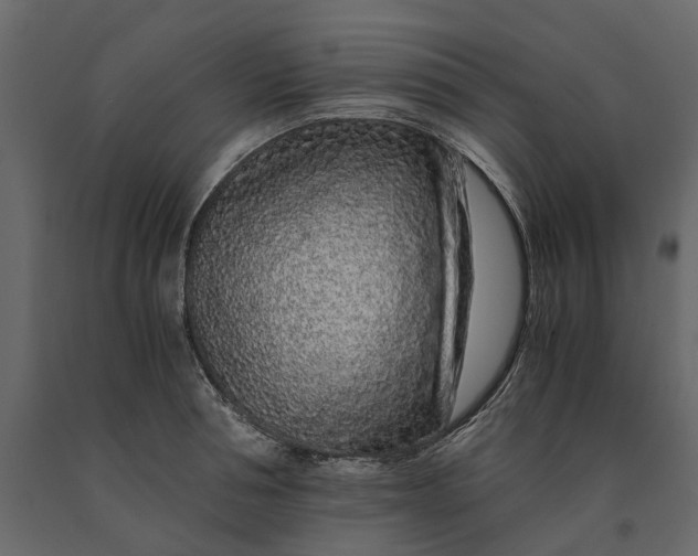 X0000091100994200708271313