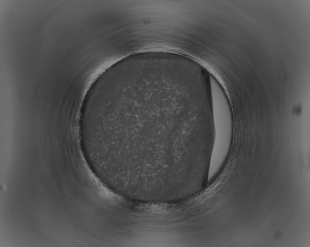 X0000091100995200708271313