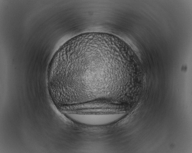 X0000091100998200708271313