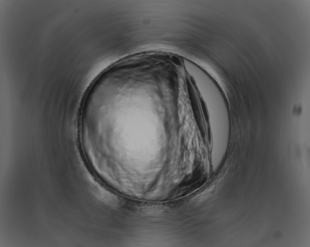 X0000091100999200708271313