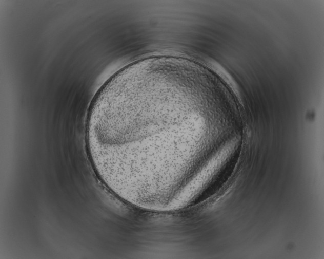 X0000091101002200708271313