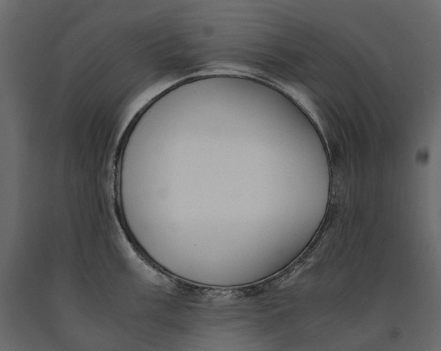 X0000091101003200708271313