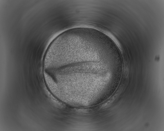 X0000091101004200708271313