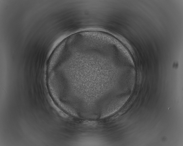 X0000091101006200708271313