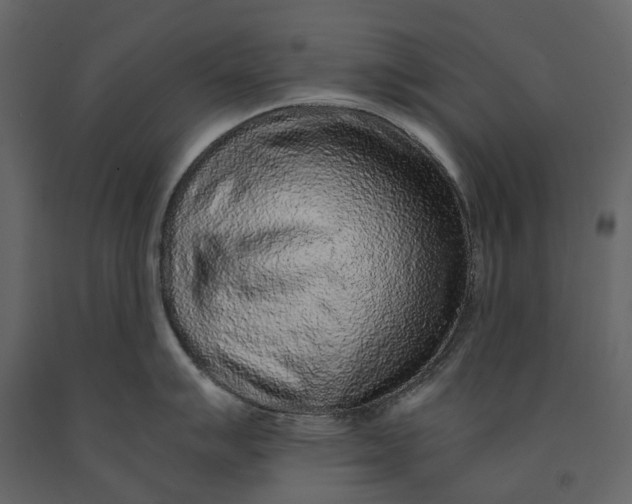 X0000091101007200708271313