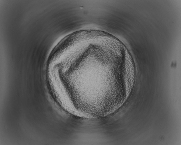 X0000091101008200708271313