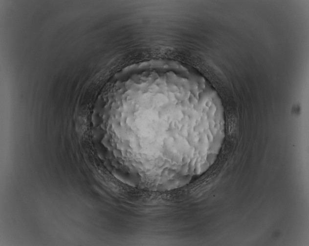 X0000091101011200708271312