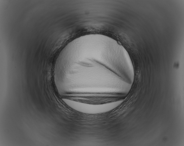 X0000091101012200708271312