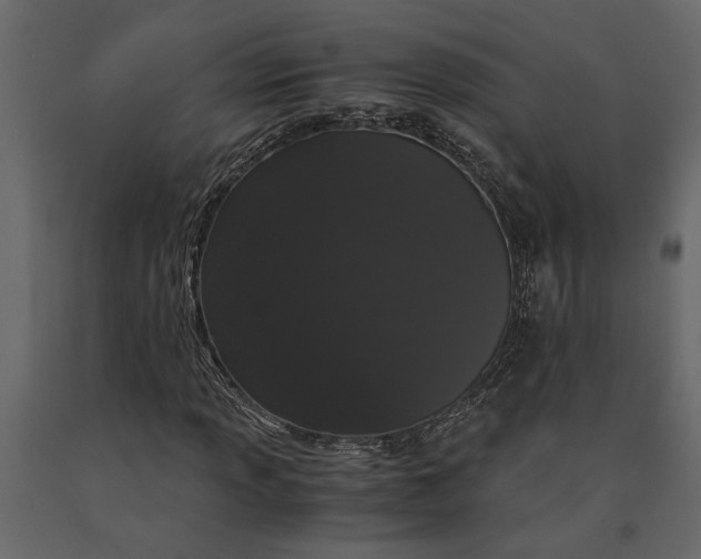 X0000091101013200708271312