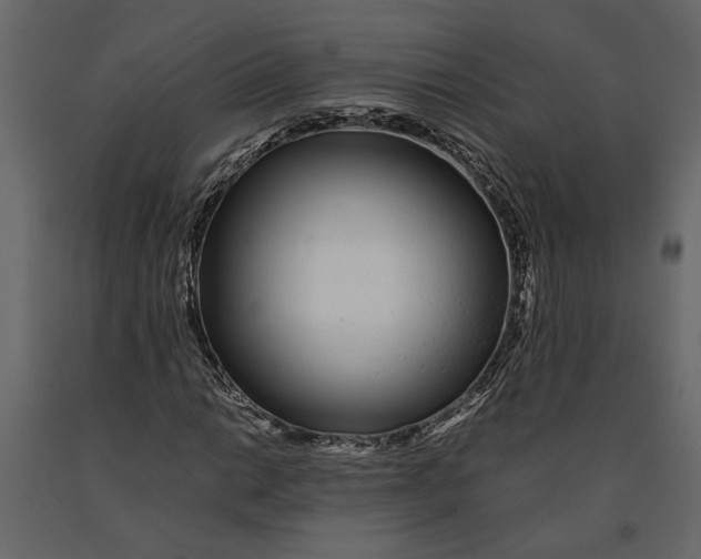 X0000091101014200708271312