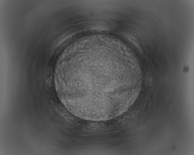 X0000091101015200708271312