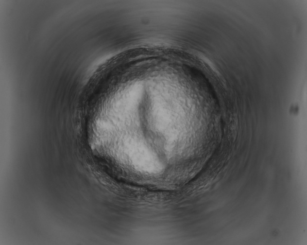 X0000091101016200708271312