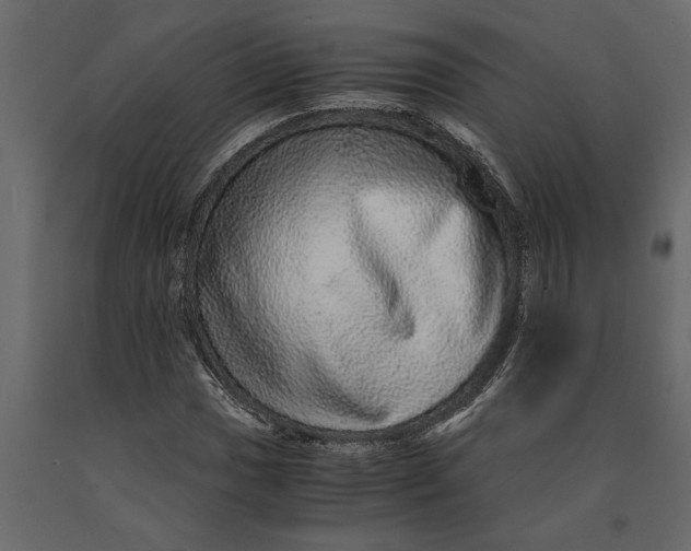 X0000091101017200708271312