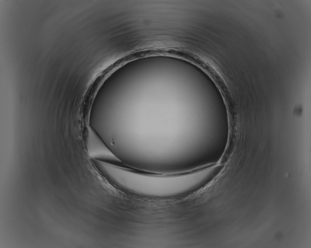 X0000091101018200708271312