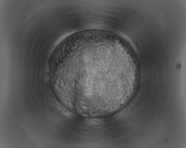 X0000091101019200708271312