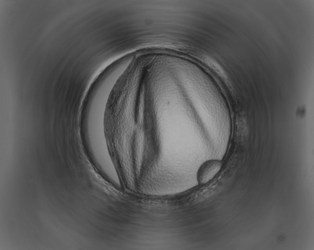 X0000091101020200708271312