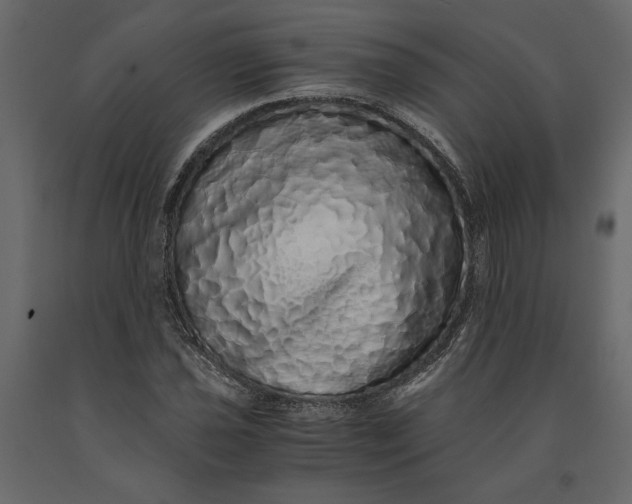 X0000091101021200708271312