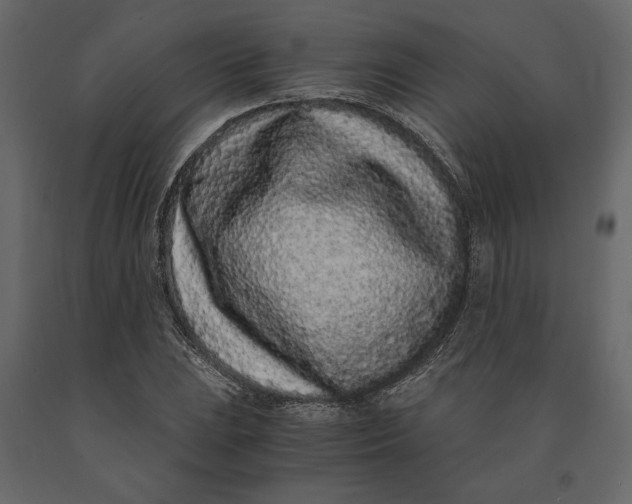 X0000091101023200708271312