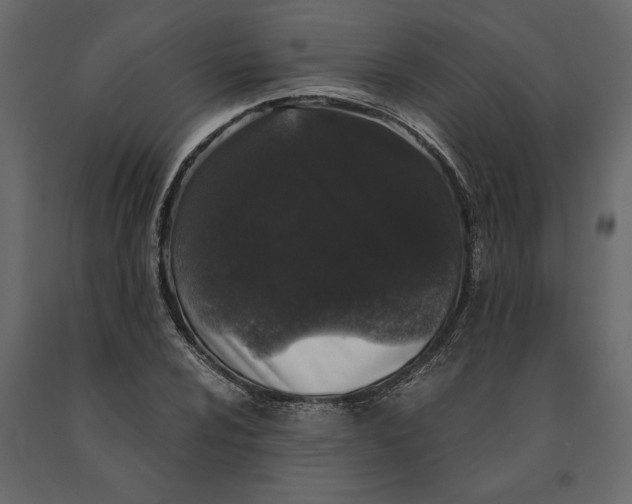 X0000091101024200708271312