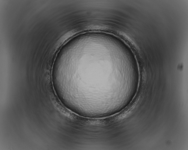 X0000091101025200708271312