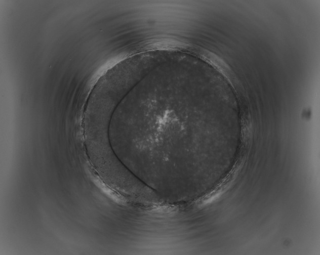 X0000091101026200708271312