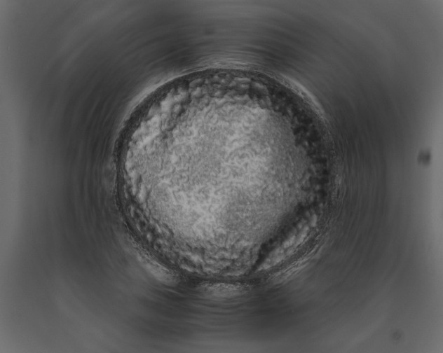 X0000091101027200708271312