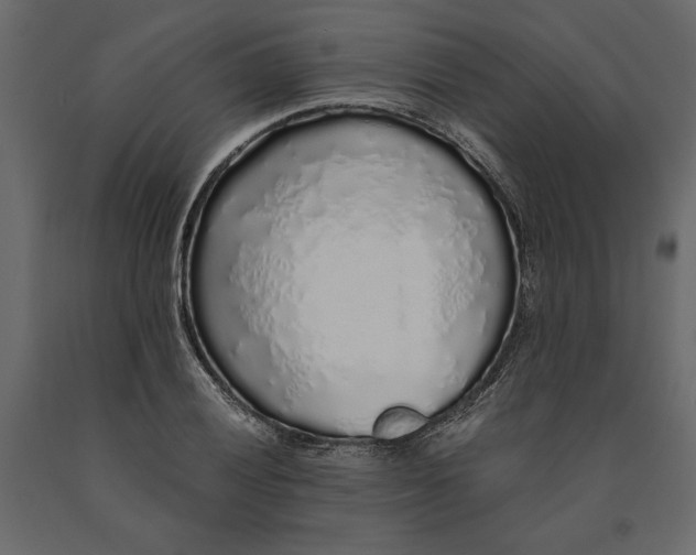 X0000091101028200708271312